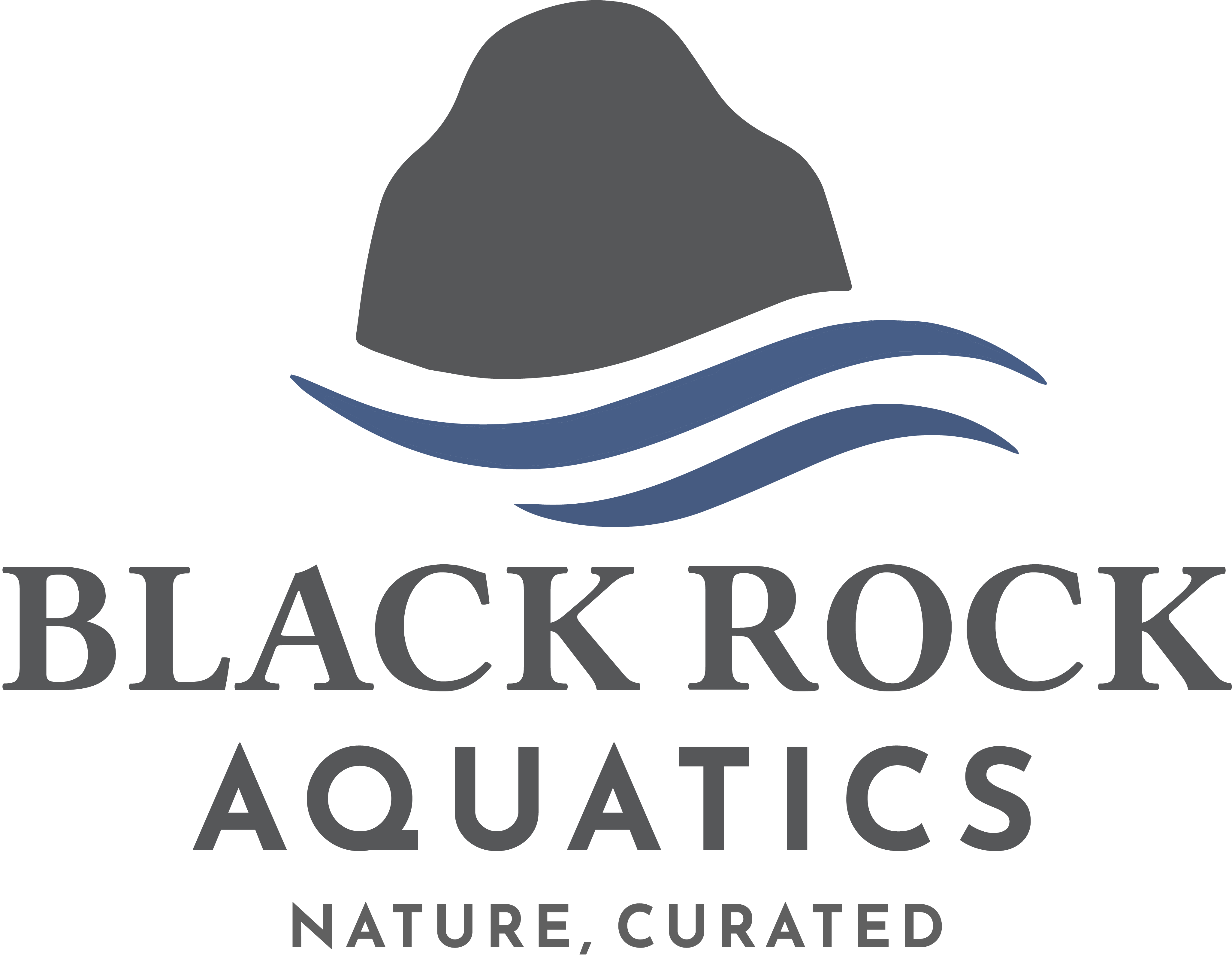 BlackRock Aquatics Logo